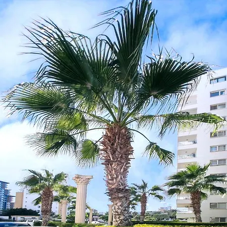 Caesar Saturn Apartment